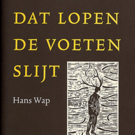 <em>Ze zeggen dat lopen de voeten slijt</em> – Hans Wap