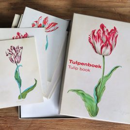 <em>Tulpenboek</em> (Cardbox)