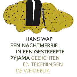 <em> Een nachtmerrie in een gestreepte pyjama </em> – Hans Wap